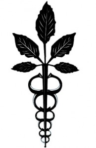 doctors-nutrition-center-ginseng-caduceus-logo