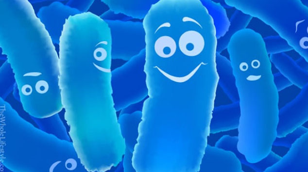 probiotics bacteria