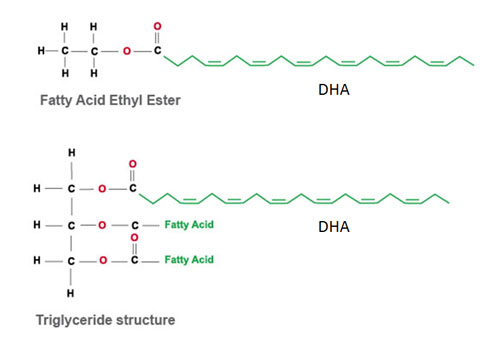 fatty acid ester and triglyceride with dha