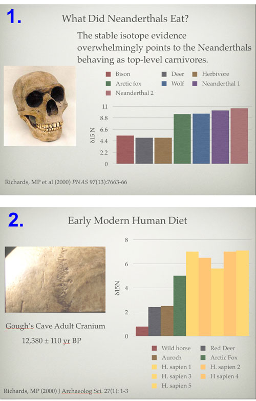 human ancestral diet isotopes
