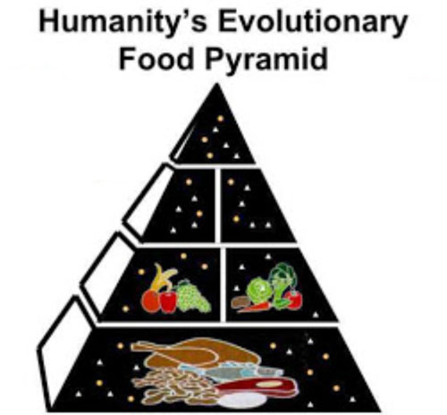 paleo diet food pyramid