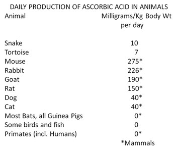 ascorbate production in animals