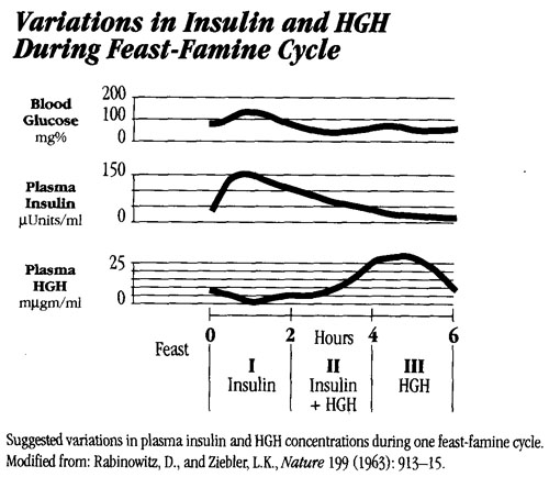 meal spacing vs hormones