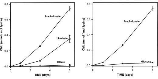 CML formation and PUFAs