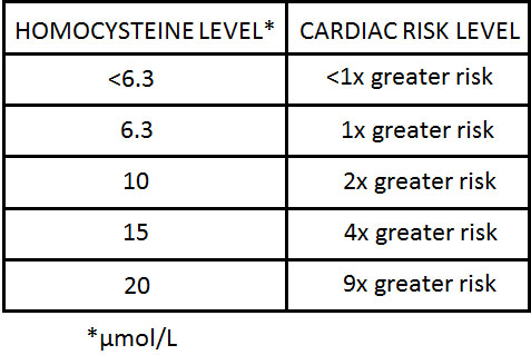 homocysteine levels and heart disease risk