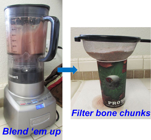 mackerel head smoothie in blender and filter with label
