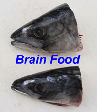 mackerel heads - norway with label