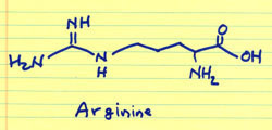 L-arginine-growth-hormone-releaser