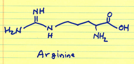 amino-acid-L-arginine-growth-hormone-releaser