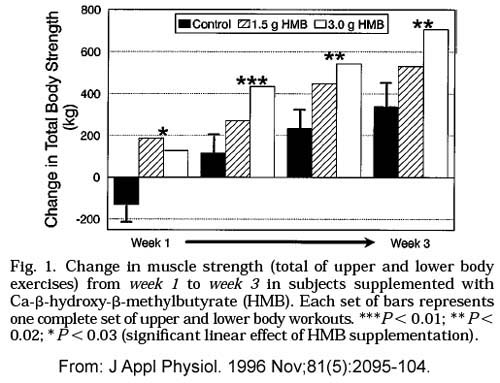 bodybuilding supplements - bcaas