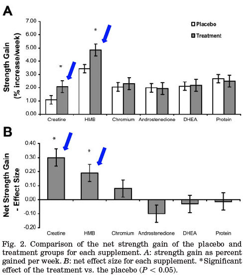 bodybuilding supplements meta analysis