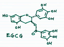 hgh-egcg