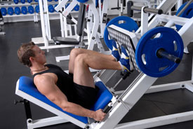 muscle building exercises leg press
