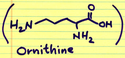 ornithine