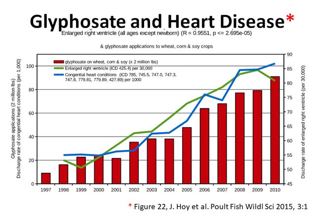 glyphosate toxicity - heart disease