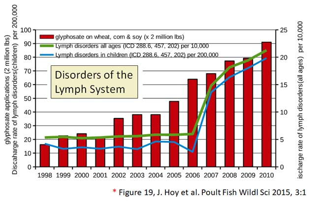glyphosate toxicity - lymph system