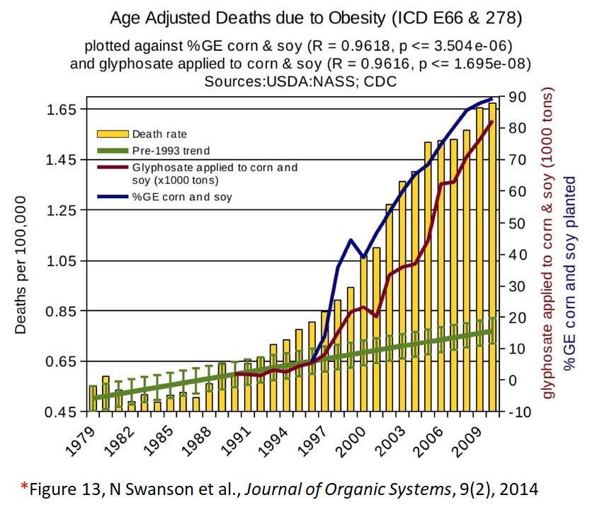 glyphosate toxicity - obesity