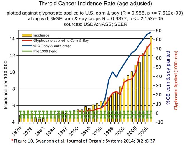 glyphosate toxicity - thyroid cancer