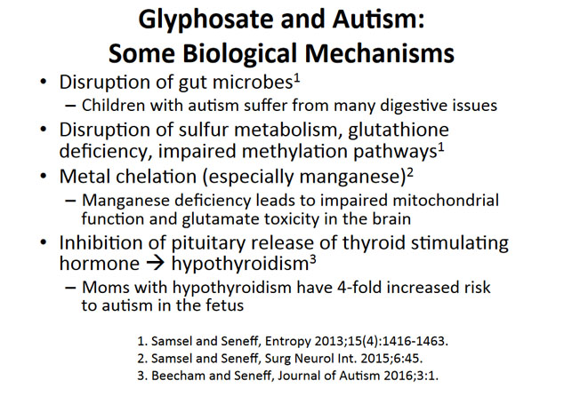 glyphosate toxicity and autism - mechanisms