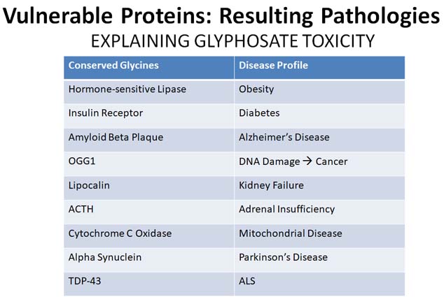 glyphosate toxicity - vulnerable proteins with conserved glycines