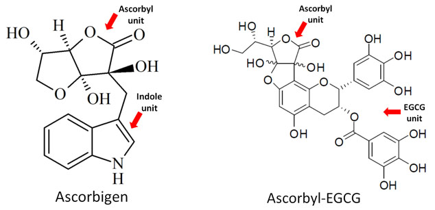 ascorbigen - ascorbyl-EGCG