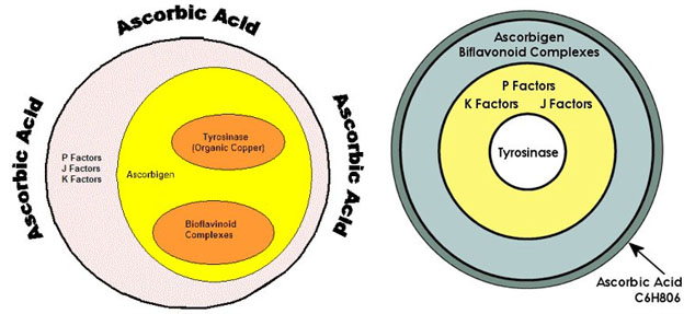 vitamin c complex combinations