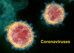 coronaviruses