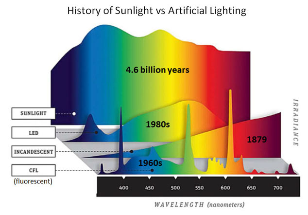 sunlight spectrum vs artificial lighting