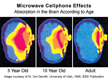 microwave cell phone effects