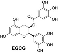 EGCG chemical structure - zinc ionophore