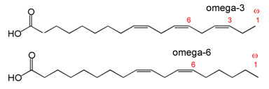 omega-3 and omega-6 fatty acids