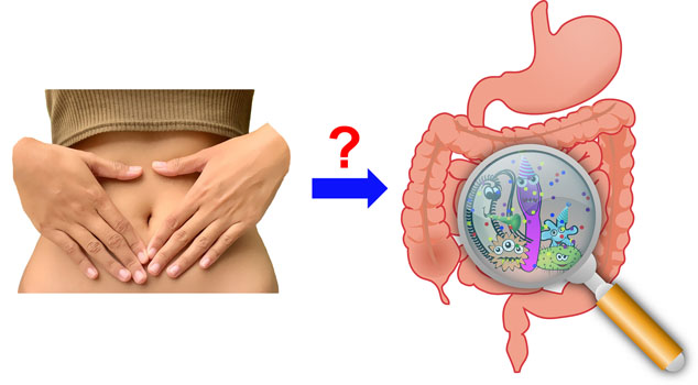gut health and microbes