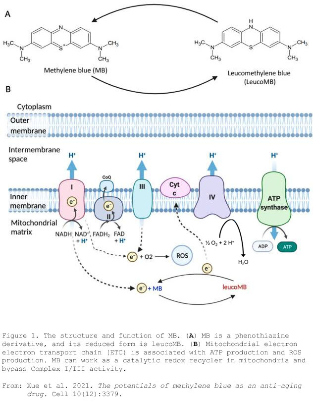 methylene blue in mitochondria