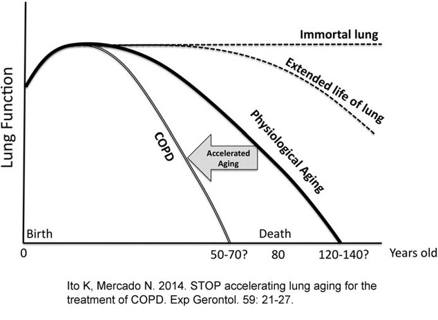 breathe right for lung capacity vs aging